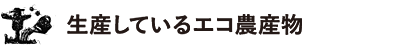 生産しているエコ農産物