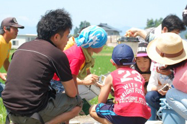 捕まえた生きものをみんなで観察する画像