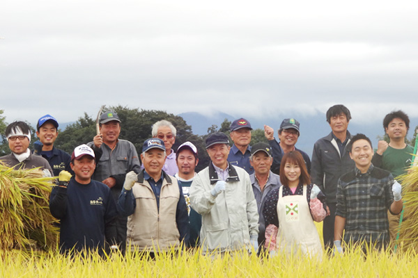 つや姫の稲刈りの画像