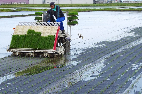 実証展示圃場で検討会を行う農家さんたちの画像2