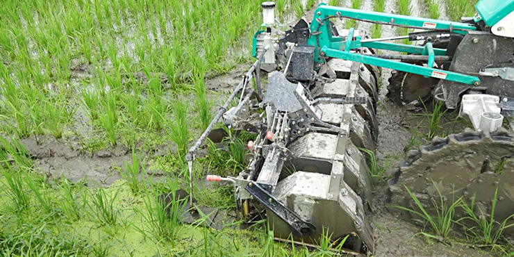 機械除草の様子の画像