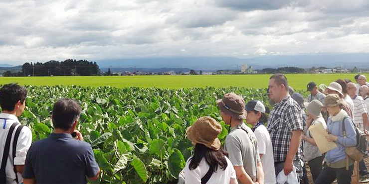 生産現場を巡るエコエリア農楽隊の画像