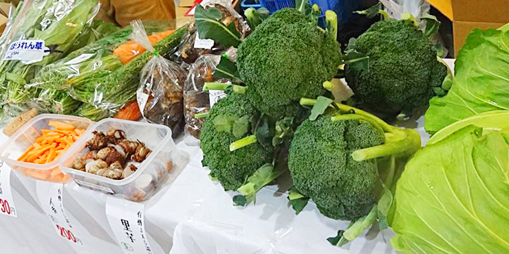県庁内で展示販売される有機野菜とランチの画像