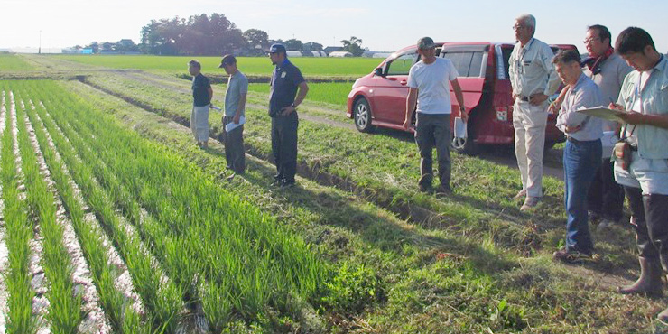 田んぼを巡回する有機・エコ農業者の方たちの写真