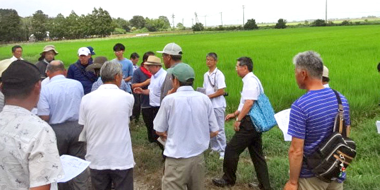 庄内の有機農業圃場に集まる県内外の参加者の様子
