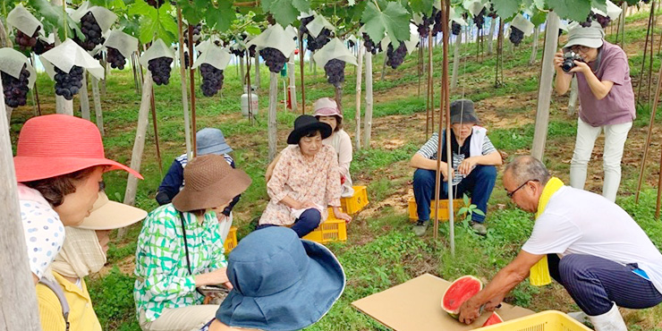 特別栽培のぶどう園を見学する参加者の様子