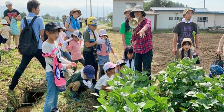 有機栽培のえだまめ畑で収穫する子供たちの様子