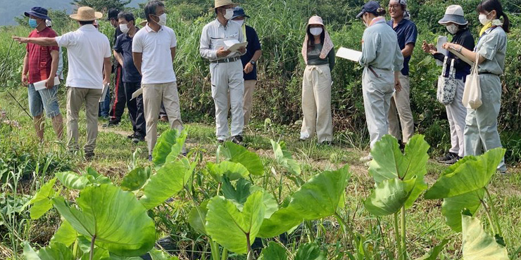 有機農業の圃場を見学する参加者の画像