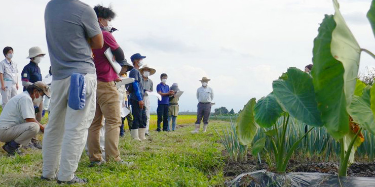 研修会で実際の圃場を見ながら熱心に話を聞く参加農家さんの様子