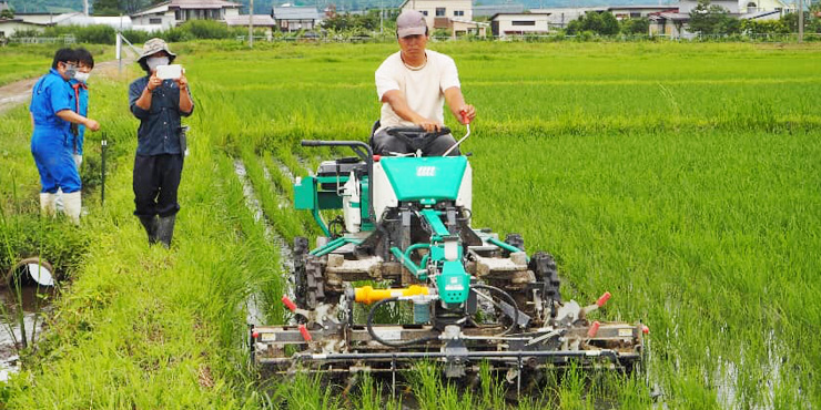 生き物を探しに田んぼに入る子どもたちの画像