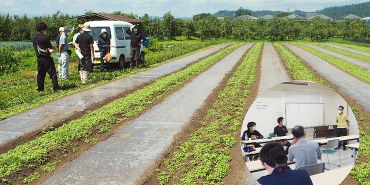 圃場にて農薬を使わない雑草対策を説明する様子の画像