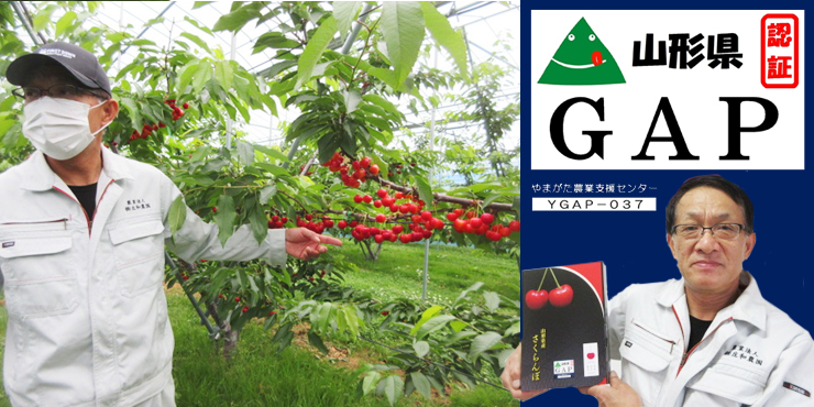 株式会社　庄和農園がやまがたＧＡＰ第三者認証を新規で取得しました